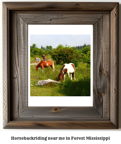 horseback riding near me in Forest, Mississippi